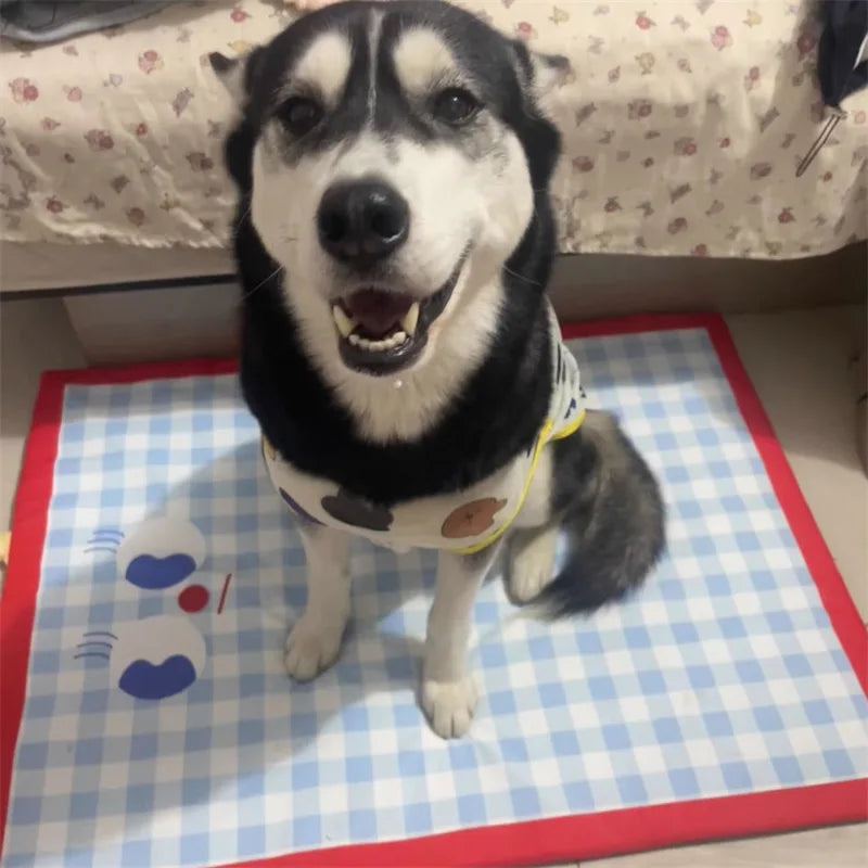 Dog Cooling Mat Plaid Large Summer Pet Cold Bed for Small Big Dogs Cat Durable Blanket Sofa Cat Ice Pad Blanket Pet Supplier