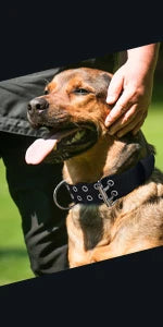 Adjustable Pet Tactical Dog Collar Durable Double Buckle German Shepherd Training Leash and Collar Large Medium Dogs Accessories
