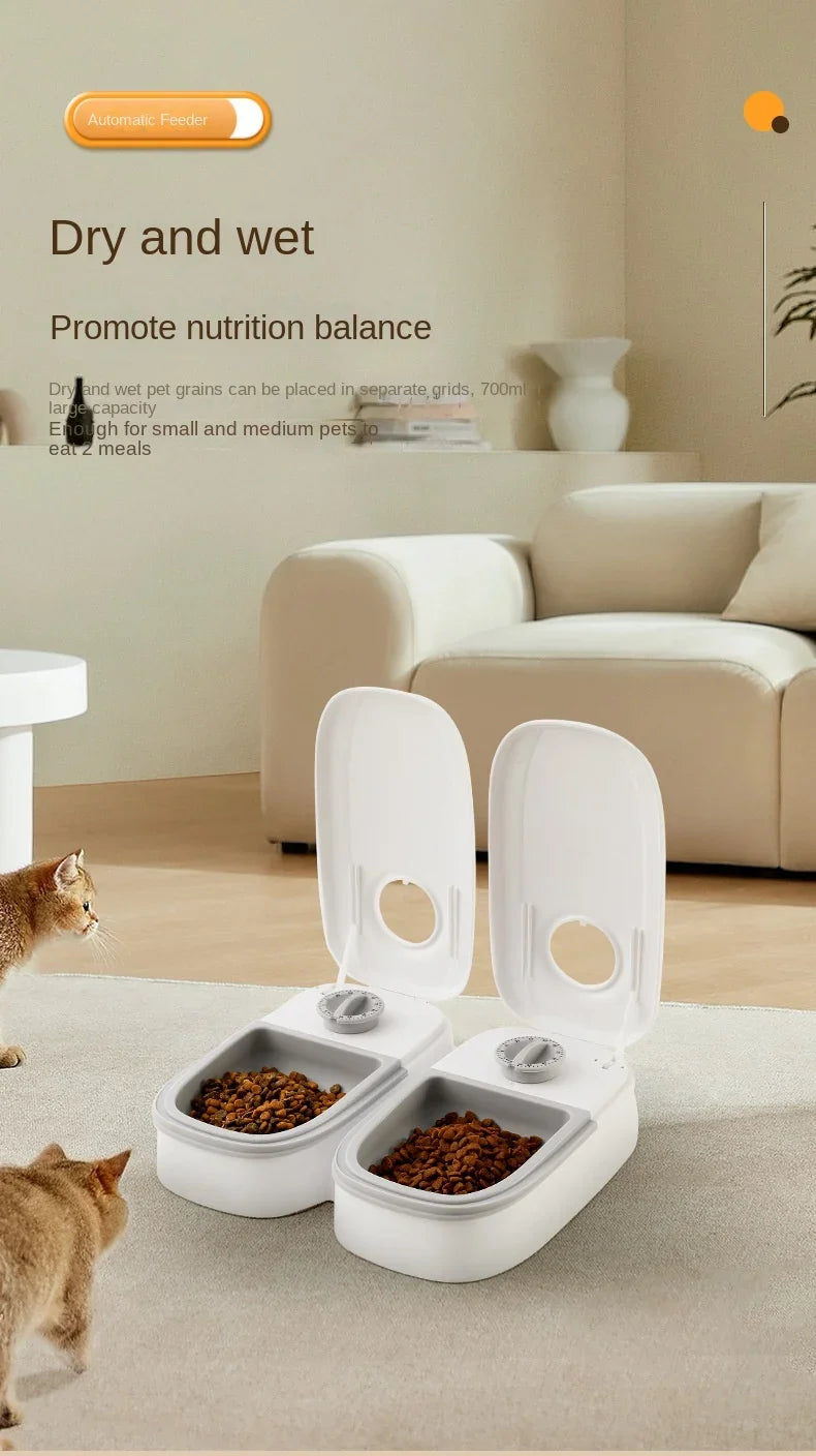 Dog Feeder Cat Automatic Feeding Water Bowl with Timer Pet Food Storage Dispenser Container Pets Puppy Kitten Accessories