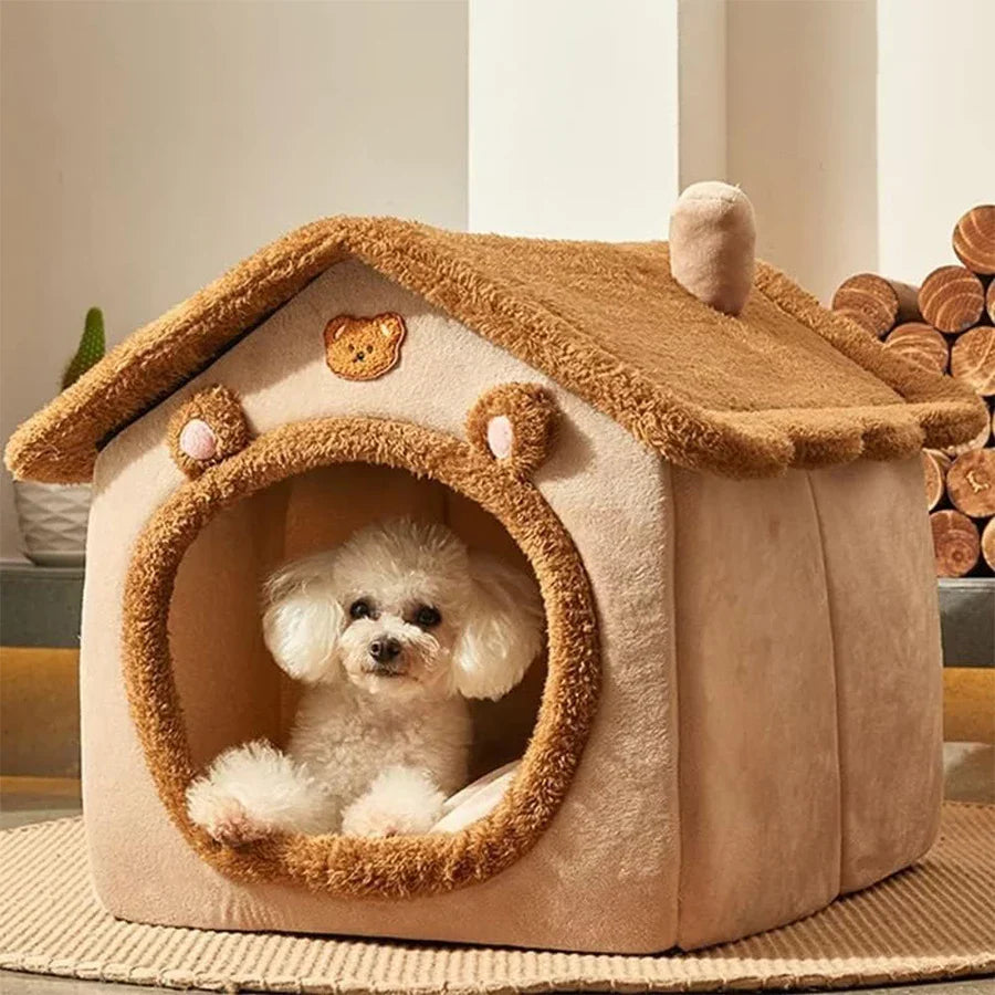 Pets Accessories