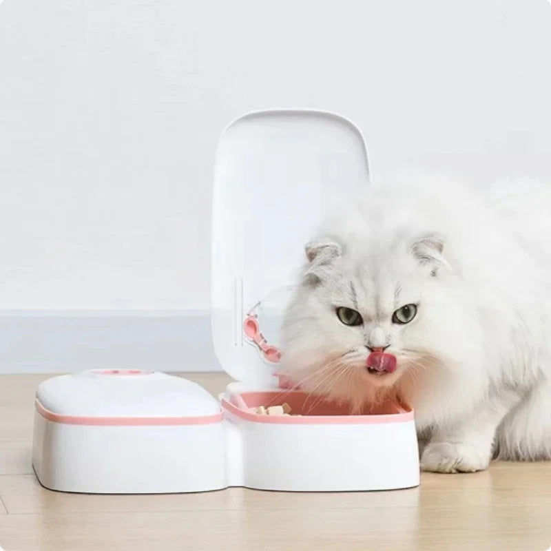 Dog Feeder Cat Automatic Feeding Water Bowl with Timer Pet Food Storage Dispenser  Container Pets Puppy Kitten Accessories