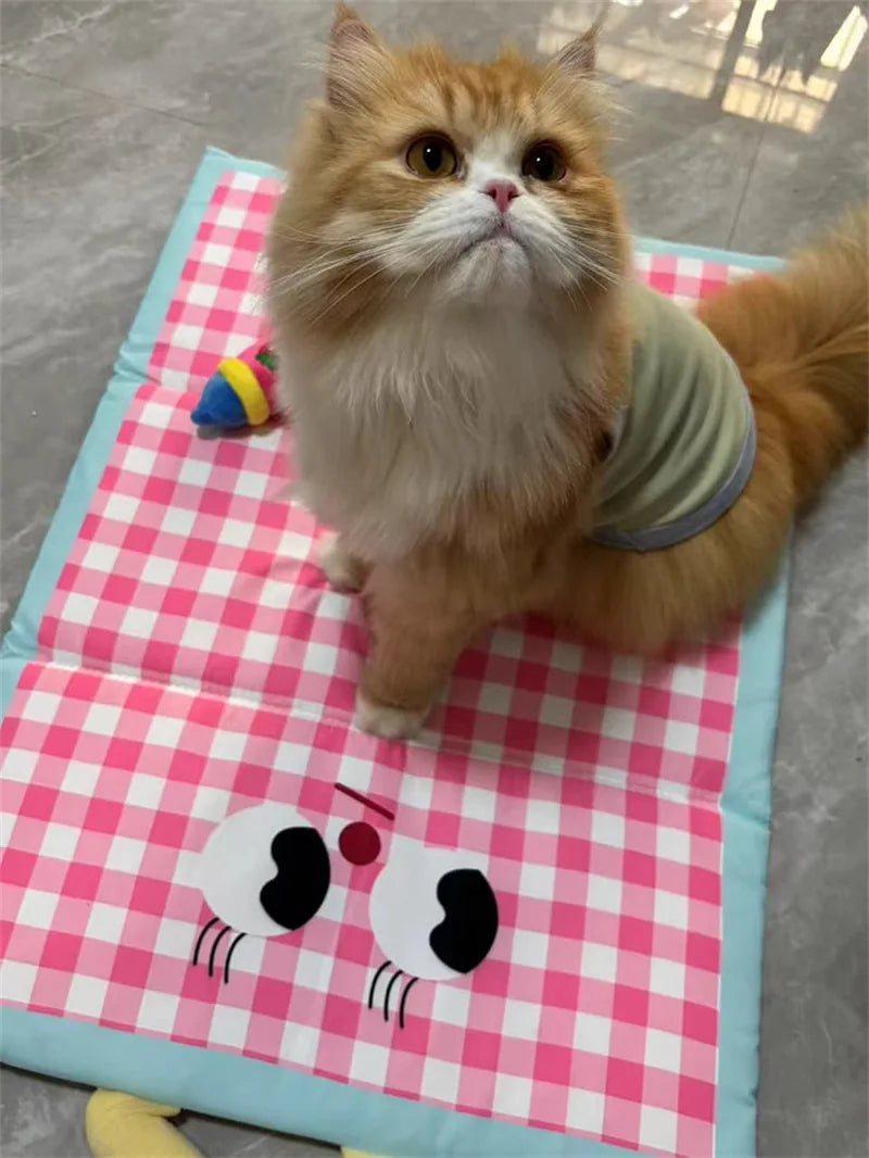 Dog Cooling Mat Plaid Large Summer Pet Cold Bed for Small Big Dogs Cat Durable Blanket Sofa Cat Ice Pad Blanket Pet Supplier