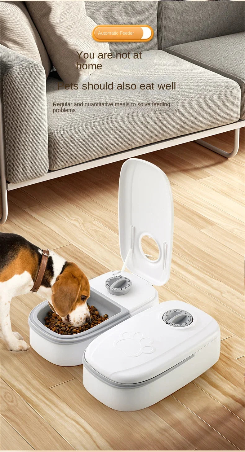 Dog Feeder Cat Automatic Feeding Water Bowl with Timer Pet Food Storage Dispenser  Container Pets Puppy Kitten Accessories